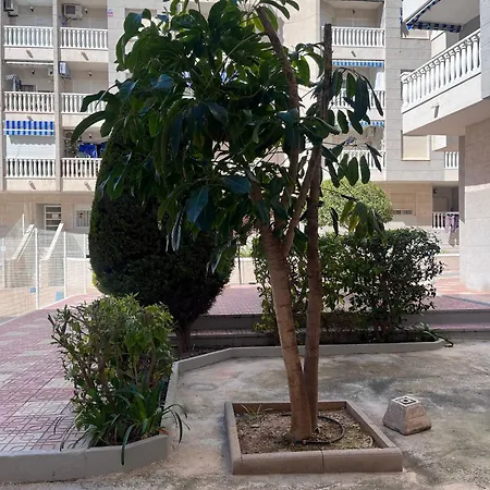 Ideal Pool Llm Διαμέρισμα *